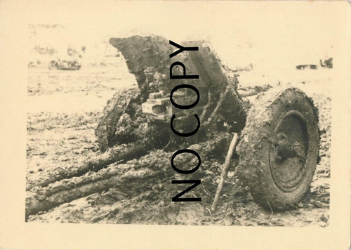 Foto panzer division 1 - foto,