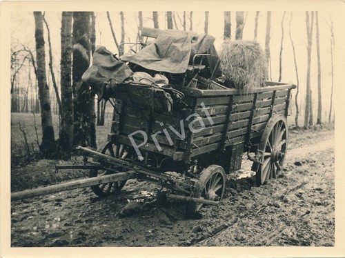 Foto wk2 wehrmacht - foto,