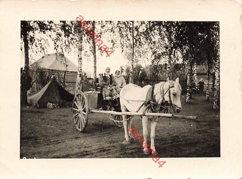 Sowjet paradies frauen mit - frauen,