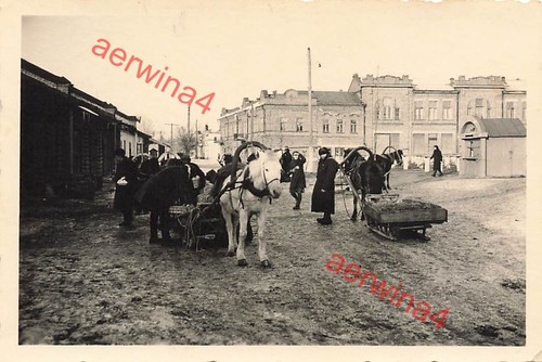 Ukrainer mit panjeschlitten - ukrainer,