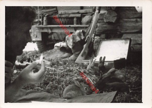 Deutscher soldat mit hasen - deutscher, und