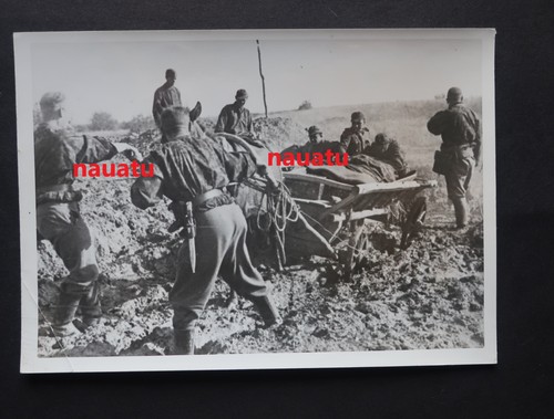 Orig foto ostfront junge - orig., pk-foto