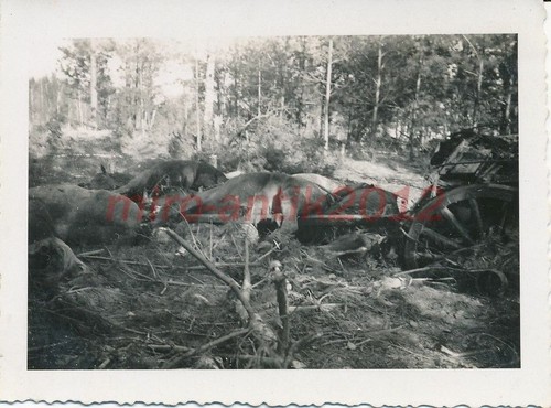 Foto ostfront schauplatz - foto,, ostfront,